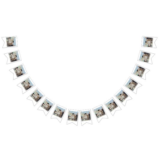 Bannière À Fanions Le Cat du Café (Tout)