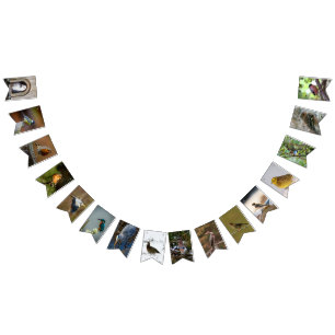 Bannière À Fanions Les Amoureux des oiseaux
