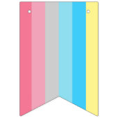 Bannière À Fanions LGBT All Flag Pride Membre Bunting Banner Party (Deuxième drapeau)