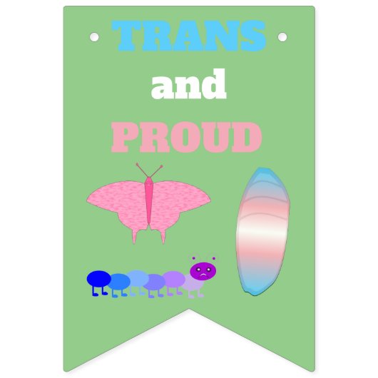 Bannière À Fanions LGBTQIA Transgenre Fierté Caterpillar to Butfly (Deuxième drapeau)