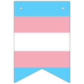 Bannière À Fanions LGBTQIA Transgenre Fierté Caterpillar to Butfly (Troisième drapeau)