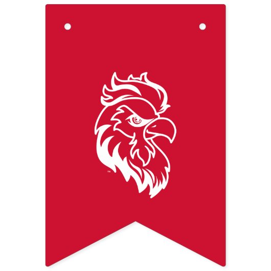 Bannière À Fanions Licence de l'Université d'État de Jacksonville (Premier drapeau)