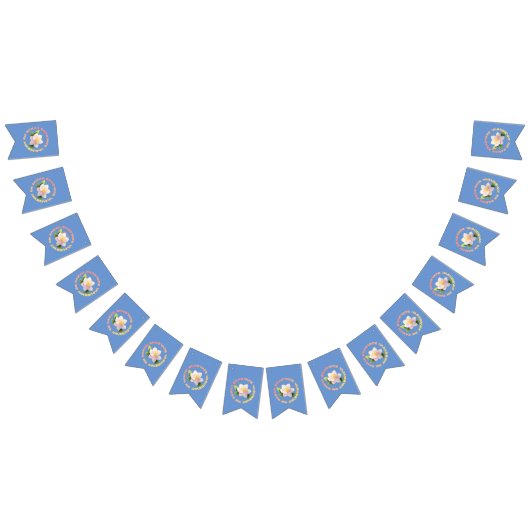 Bannière À Fanions Lord Krishna (Tout)