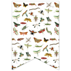 Bannière À Fanions Motif d'illustration coloré d'insectes Vintages