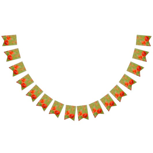 Bannière À Fanions Pavots vibrants dans un domaine de pavot (Tout)