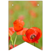 Bannière À Fanions Pavots vibrants dans un domaine de pavot (Deuxième drapeau)