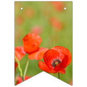 Bannière À Fanions Pavots vibrants dans un domaine de pavot (Troisième drapeau)