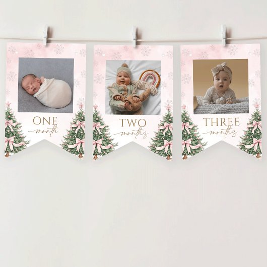 Bannière À Fanions Pink Winter Onederland 1st Birthday Monthly Photo