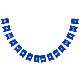 BANNIÈRE À FANIONS QUEBEC OUI