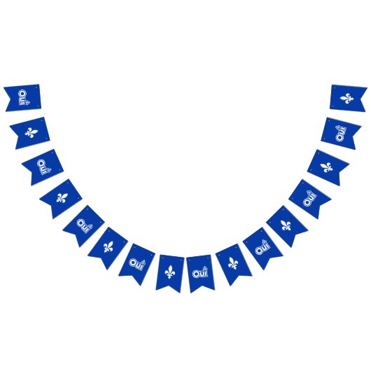 BANNIÈRE À FANIONS QUEBEC OUI (Tout)