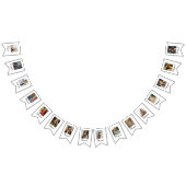 Bannière À Fanions Réalisations des diplômes Niveau d'études Photos M (Tout)