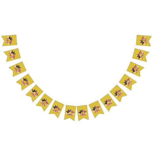 Bannière À Fanions Rouge blanc bleu étoile (Tout)