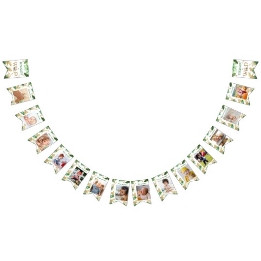 Bannière À Fanions Safari Animaux Jungle Wild Un joyeux anniversaire (Tout)