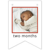 Bannière À Fanions Sesame Street | Elmo First Birthday Bunting Flags (Deuxième drapeau)