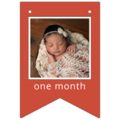 Bannière À Fanions Sesame Street | Elmo First Birthday Bunting Flags (Premier drapeau)