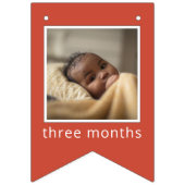 Bannière À Fanions Sesame Street | Elmo First Birthday Bunting Flags (Troisième drapeau)