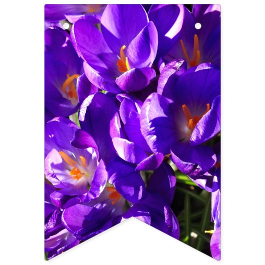 BANNIÈRE À FANIONS SPRING CROCUS (Premier drapeau)