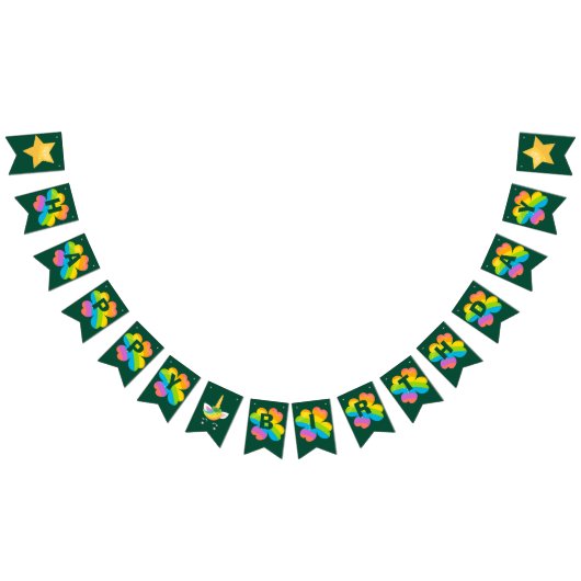 Bannière À Fanions St. Patrick's Birthday Rainbow Clover Green Irish (Tout)