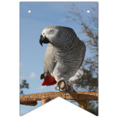 Bannière À Fanions Superbe perroquet gris africain (Premier drapeau)