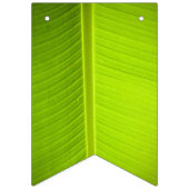 Bannière À Fanions Thème Tropical. Feuilles de bananes. (Troisième drapeau)