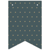 Bannière À Fanions Twinkle Little Star Baby shower Bunting Flags (Premier drapeau)