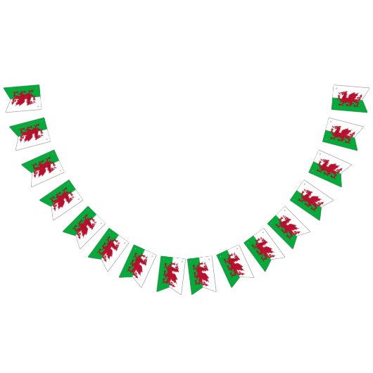 Bannière À Fanions Welsh Flag & Party Wales Banners / Cymru Weddings (Tout)
