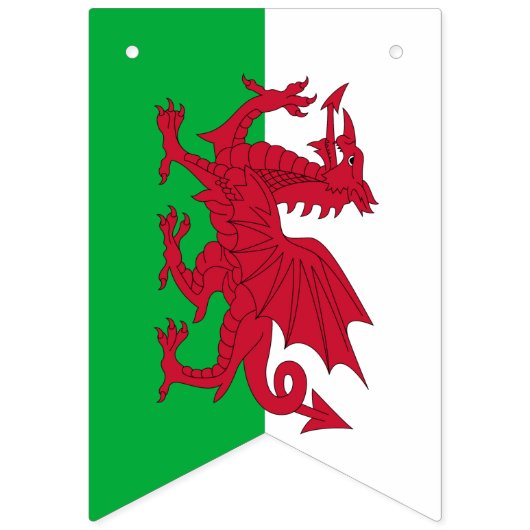 Bannière À Fanions Welsh Flag & Party Wales Banners / Cymru Weddings (Premier drapeau)