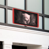 BANNIÈRE AVEC BOUTON (Bâtiment extérieur)