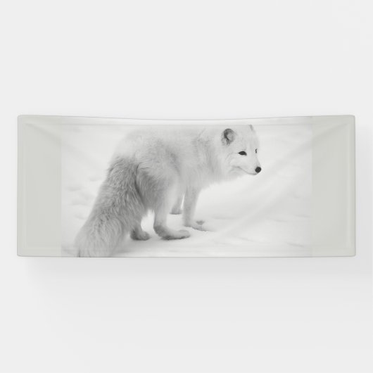 Bannière BLANC ARTIQUE FOX 2,5 X 6 (Horizontal)