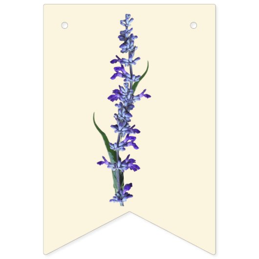 Bannière d'anniversaire sauvage (Deuxième drapeau)