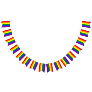 Bannière de Bunting 6 couleurs Fierté LGBT Party