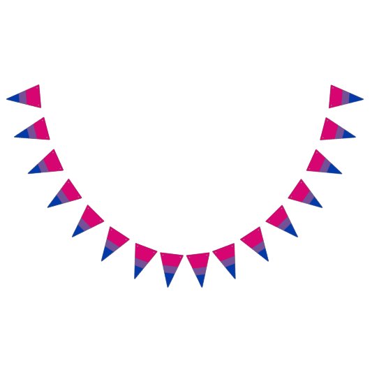 Bannière de drapeau de fierté bisexuelle Bunting D (Tout)