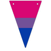 Bannière de drapeau de fierté bisexuelle Bunting D (Deuxième drapeau)