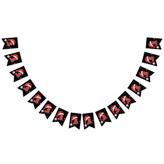 Bannière de fanions de la collection de neige Deck (Tout)