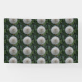Bannière de fleurs de pandelion (Horizontal)