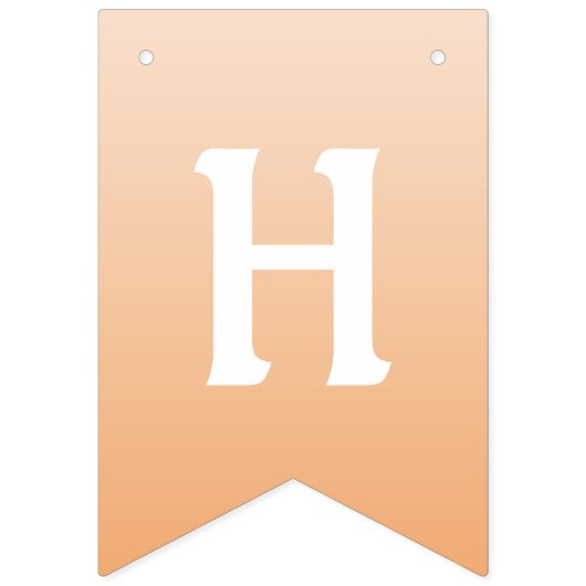 bannière de la fête du Nouvel An chinois (Deuxième drapeau)