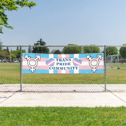 Bannière de la marche de la fierté transcommunauta (Insitu)