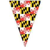 Bannière d'étamine de drapeau du Maryland (Premier drapeau)