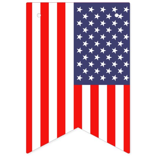 Bannière d'étamine de partie de drapeau américain (Deuxième drapeau)