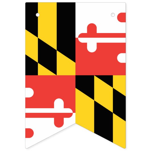 Bannière d'étamine de partie de drapeau du (Deuxième drapeau)