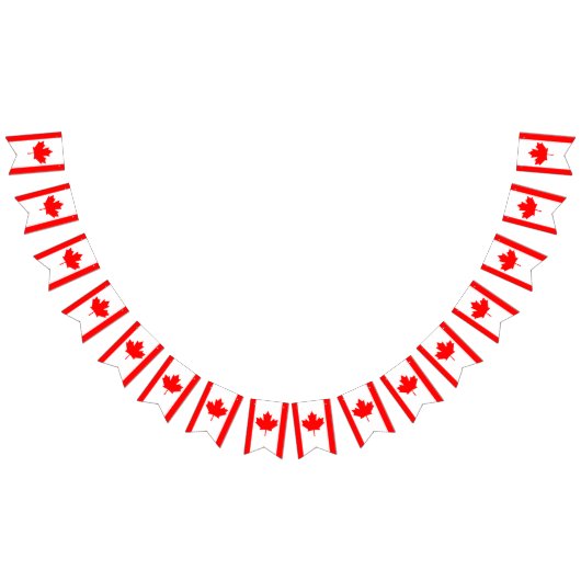 Bannière drapeau canadien (Tout)