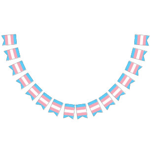 Bannière drapeau de la fierté transgenre