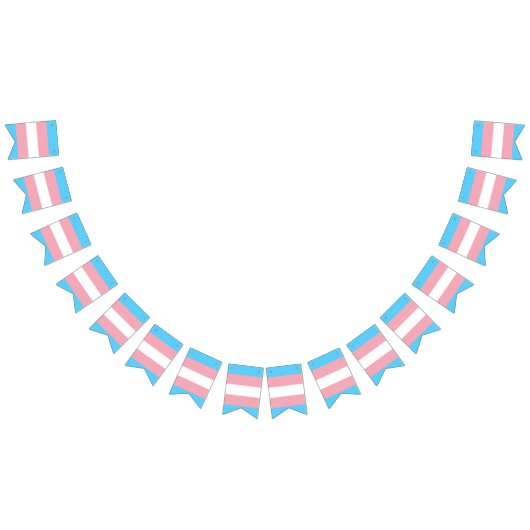 Bannière drapeau de la fierté transgenre (Tout)