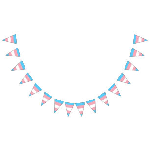 Bannière drapeau de la fierté transgenre