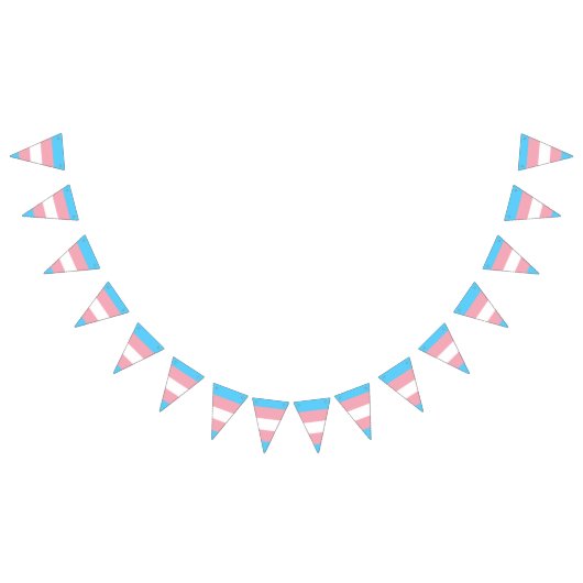 Bannière drapeau de la fierté transgenre (Tout)