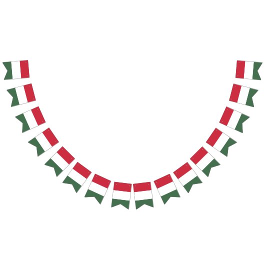 Bannière drapeau hongrois (Tout)