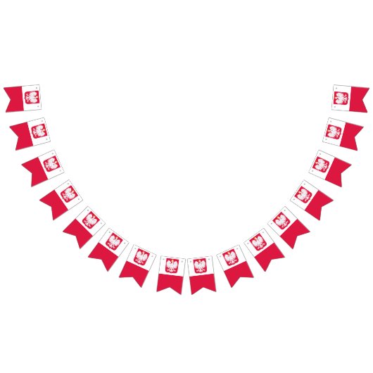 Bannière drapeau polonais (Tout)