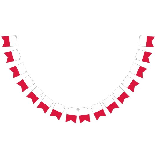 Bannière drapeau polonais (Tout)