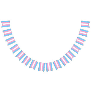 Bannière Drapeau Transgenre Parti LGBT