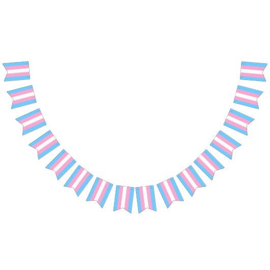 Bannière Drapeau Transgenre Parti LGBT (Tout)